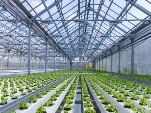 Turnkey Intelligent Greenhouses